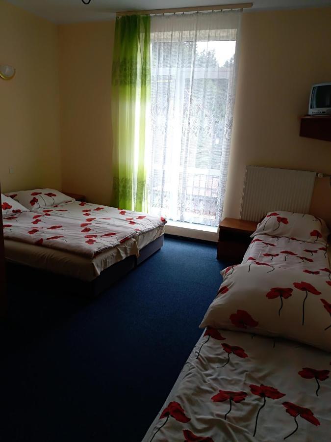 Osrodek Wypoczynkowy Ognisko Hotel Krynica Zdroj Exterior foto