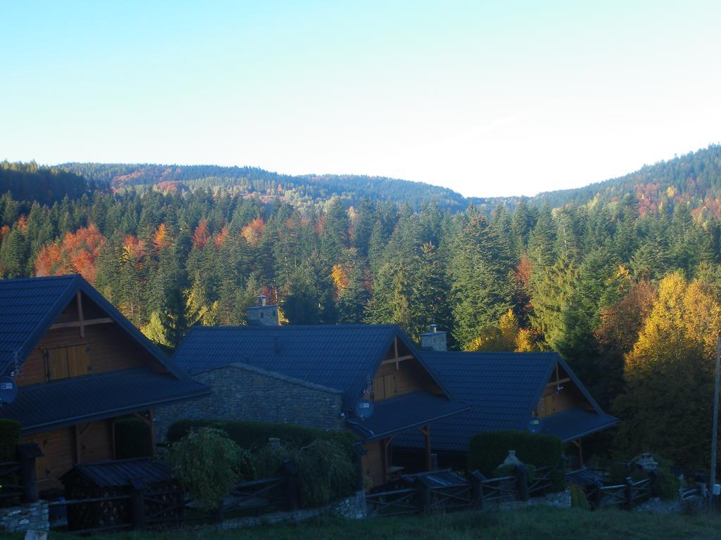 Osrodek Wypoczynkowy Ognisko Hotel Krynica Zdroj Exterior foto